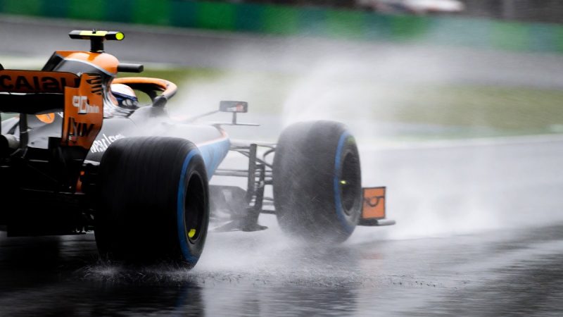 Stallard's technical approach and Piastri's wet weather adaptation
